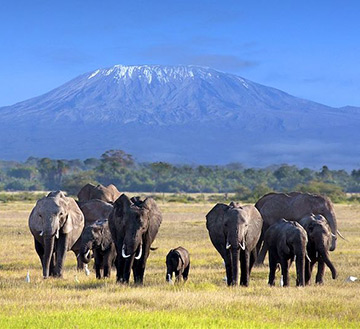 voyage Kenya