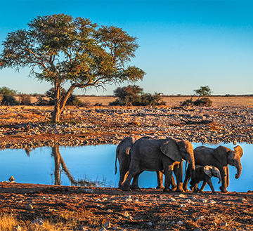 voyage Namibie